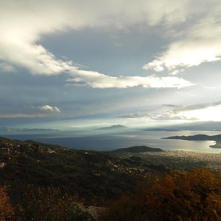 Archontiko Xantha Hotel Makrinitsa Bagian luar foto