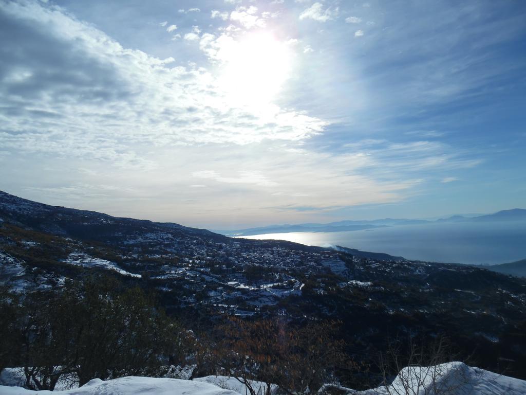 Archontiko Xantha Hotel Makrinitsa Bagian luar foto