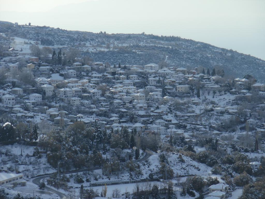 Archontiko Xantha Hotel Makrinitsa Bagian luar foto
